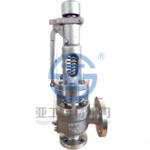 先導(dǎo)式鈦安全閥